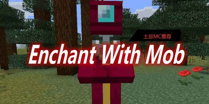 [1.15.2-1.17.1]Enchant With Mob MOD  第1张