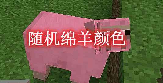 [1.16.5-1.18.1]随机绵羊颜色 Random Sheep Colours MOD  第1张