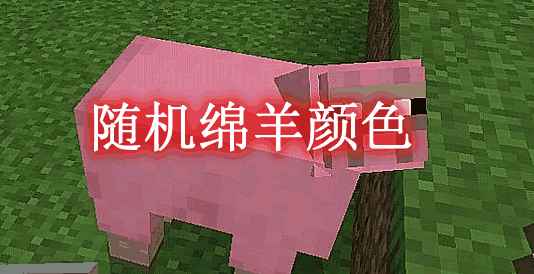 [1.16.5-1.18.1]随机绵羊颜色 Random Sheep Colours MOD  第1张