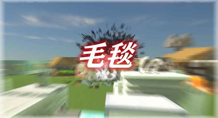 [1.14.4-1.18]毛毯 Carpet Mod  第1张