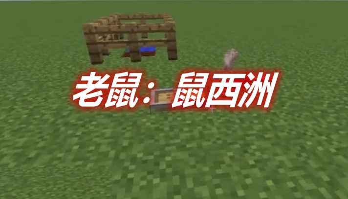 [1.16.3-1.16.4]老鼠：鼠西洲 Rats: Ratlantis Mod  第1张