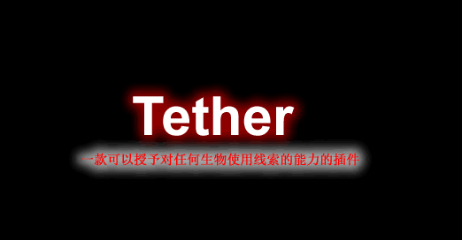 [1.18]Tether-系绳插件  第1张