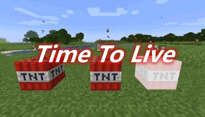[1.12.2-1.18]Time To Live Mod  第1张