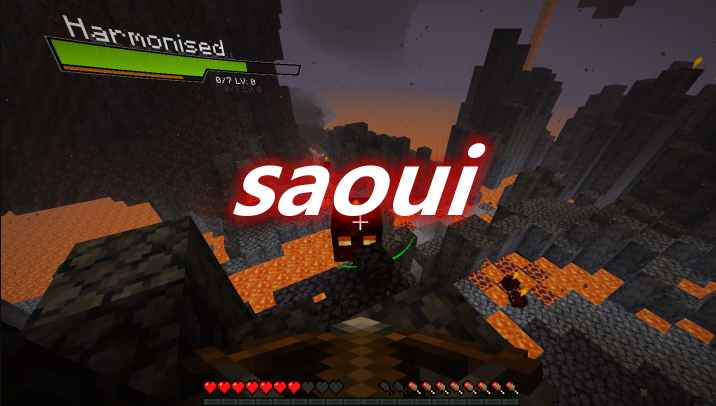 [1.16.5]saoui Mod  第1张