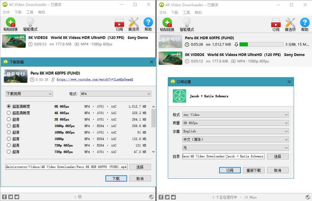 4K Video Downloader_v4.29.0.5640破解版  第1张