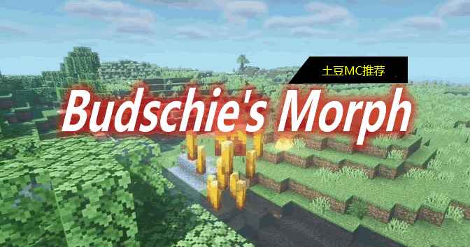 [1.16.5-1.18.2]Budschie’s Morph Mod  第1张