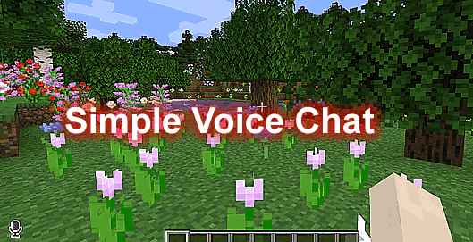 [1.16.X-1.18.X]Simple Voice Chat-简单的语言聊天插件  第1张