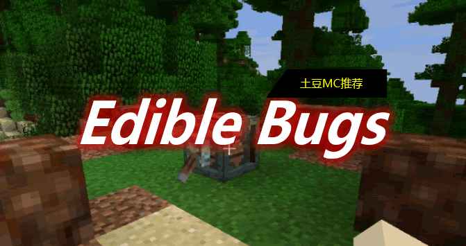 [1.12.2-1.18.2]Edible Bugs Mod  第1张