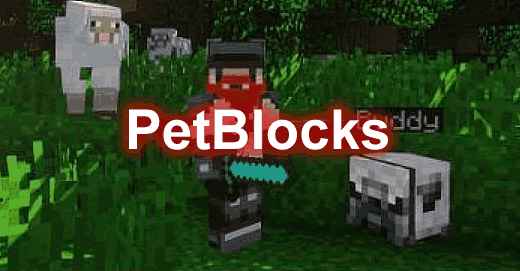 [1.8.X-1.19.X]PetBlocks – 方块宠物插件  第1张