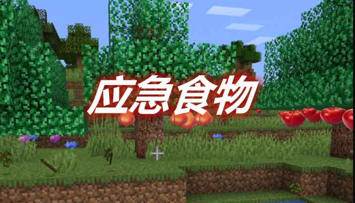 [1.16.4]应急食物 PaiMeng Mod  第1张