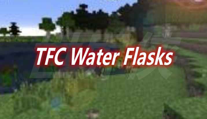 [1.12.2]TFC Water Flasks Mod  第1张