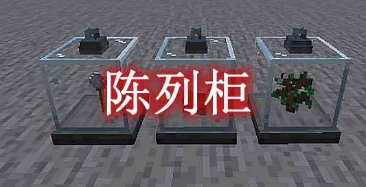 [1.16.5-1.19.1]陈列柜 Display Case Mod  第1张