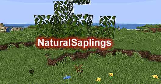 [1.15.X-1.19.X]NaturalSaplings – 自然树苗插件  第1张