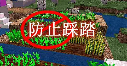 [1.12.2-1.19.1]防止踩踏 Trample Stopper Mod  第1张