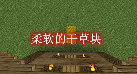 [1.12.2-1.19.1]柔软的干草块 Softer Hay Bales Mod  第1张