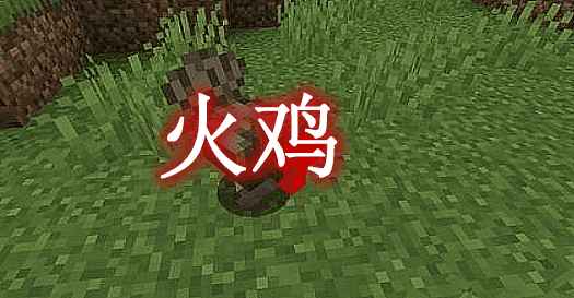 [1.18.2]火鸡 Turkey Mod  第1张