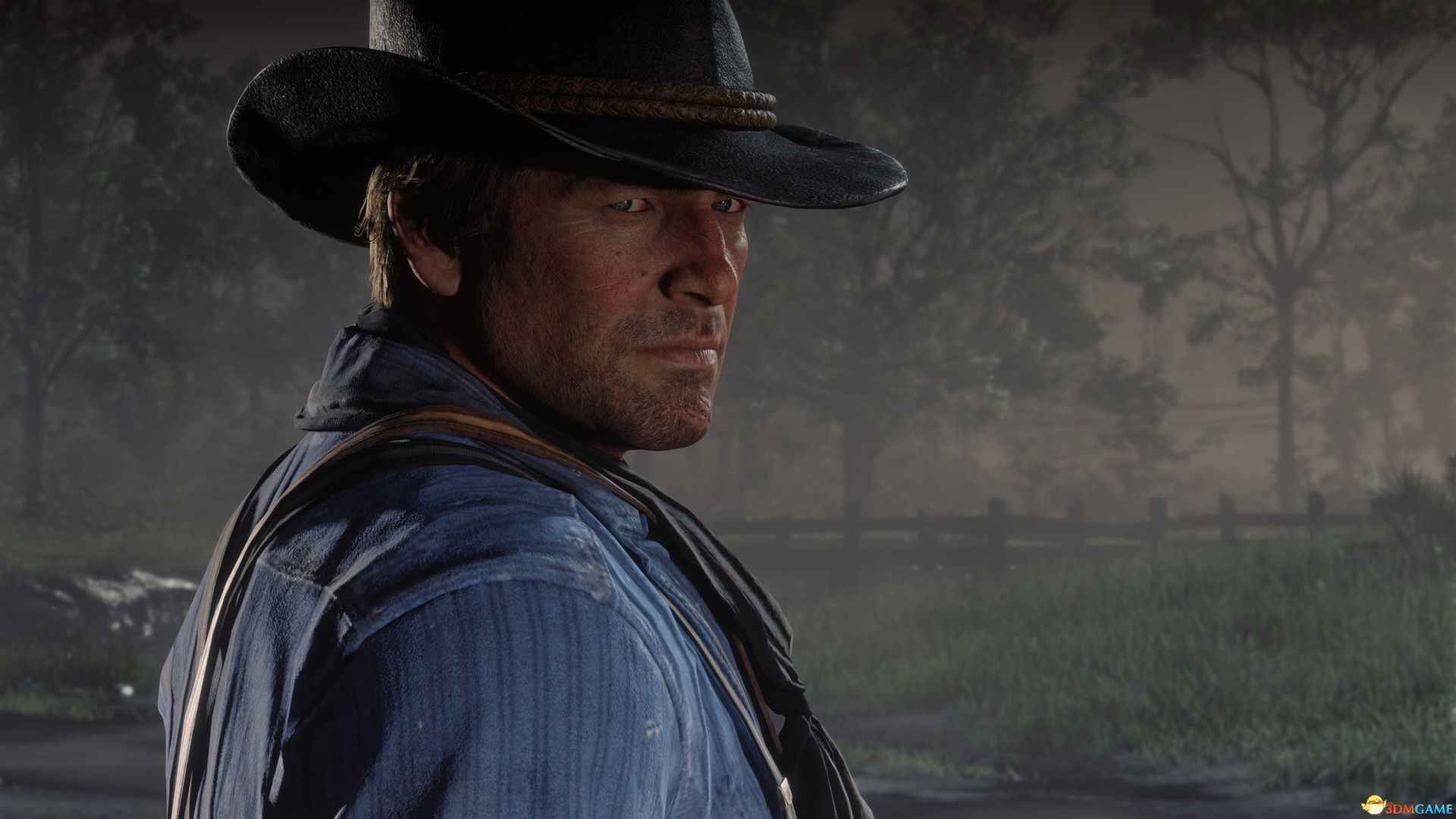 荒野大镖客2（Red Dead Redemption 2）官方中文 Build 1436.28 EMPRESS镜像版[CN/EN]  第3张