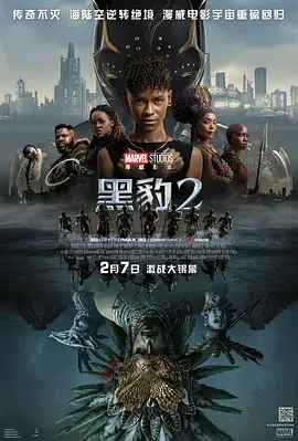 黑豹2 Black Panther: Wakanda Forever 4K在线观看  第1张