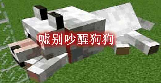 [1.12.20-1.19.1]嘘，别吵醒狗狗 Let Sleeping Dogs Lie Mod  第1张