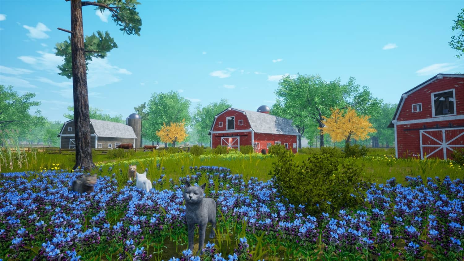 猫模拟器/Cat Simulator 第2张 猫模拟器/Cat Simulator 第2张