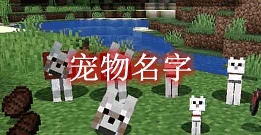 [1.12.2-1.20.1]宠物名字 Pet Names Mod  第1张