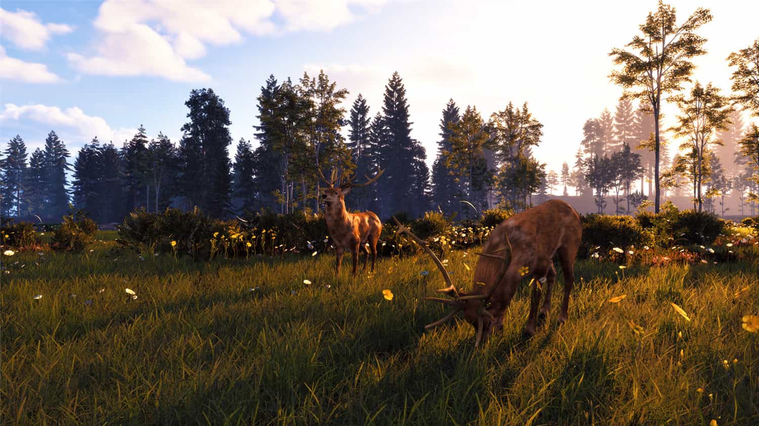 风暴:深厚友谊的开始 重制版/Windstorm: Start of a Great Friendship - Remastered  第2张 风暴:深厚友谊的开始 重制版/Windstorm: Start of a Great Friendship - Remastered  第2张