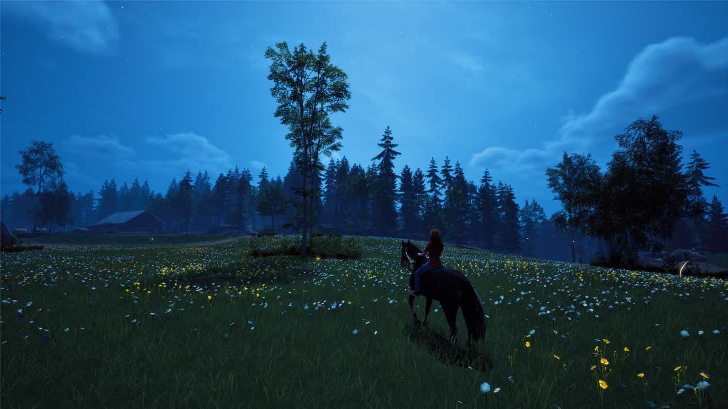 风暴:深厚友谊的开始 重制版/Windstorm: Start of a Great Friendship - Remastered  第1张 风暴:深厚友谊的开始 重制版/Windstorm: Start of a Great Friendship - Remastered  第1张