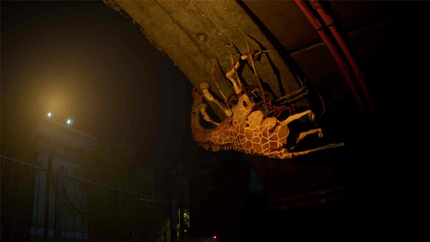 癫狂动物园/Zoochosis  第1张 癫狂动物园/Zoochosis  第1张