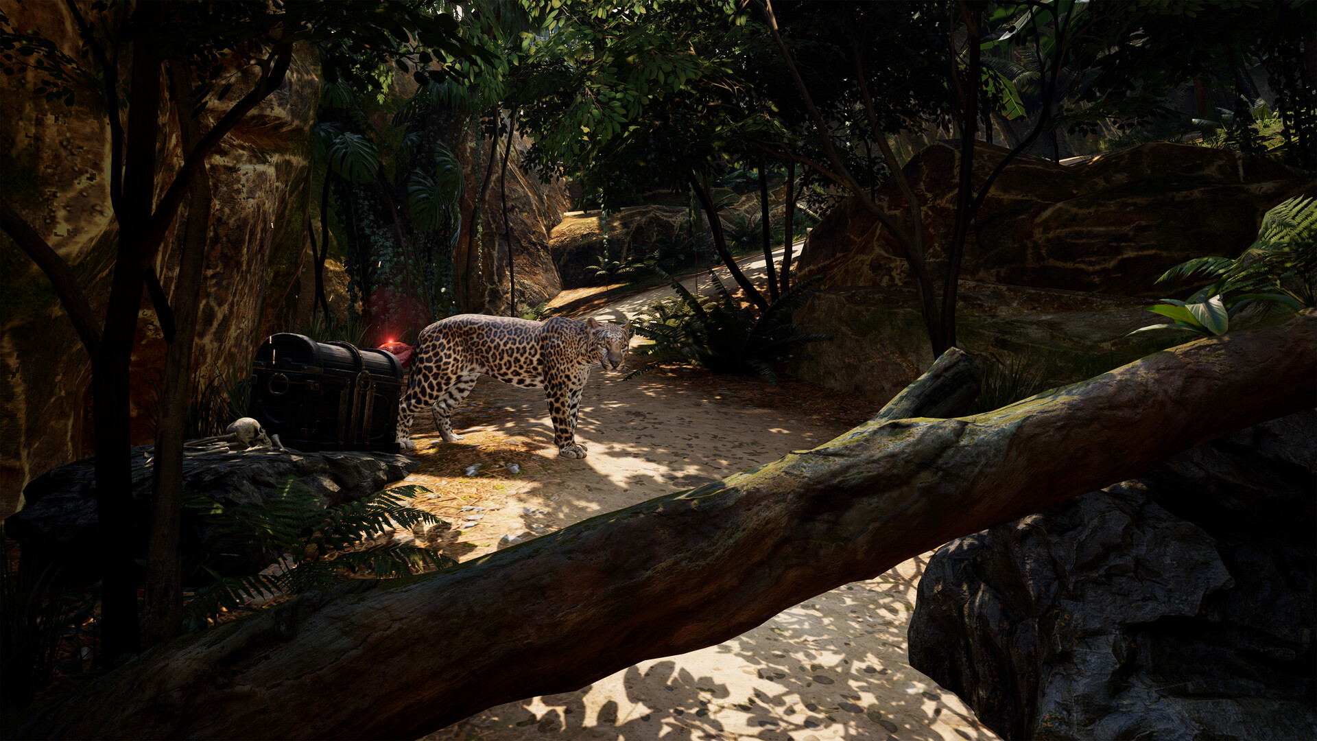 海盗VR: 海盗旗/Pirates VR: Jolly Roger  第2张