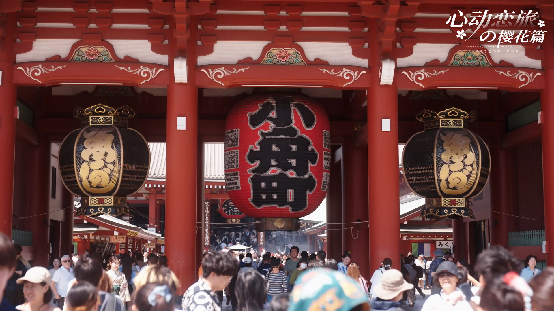 心动恋旅:樱花篇/Blossom Voyage  第1张 心动恋旅:樱花篇/Blossom Voyage  第1张