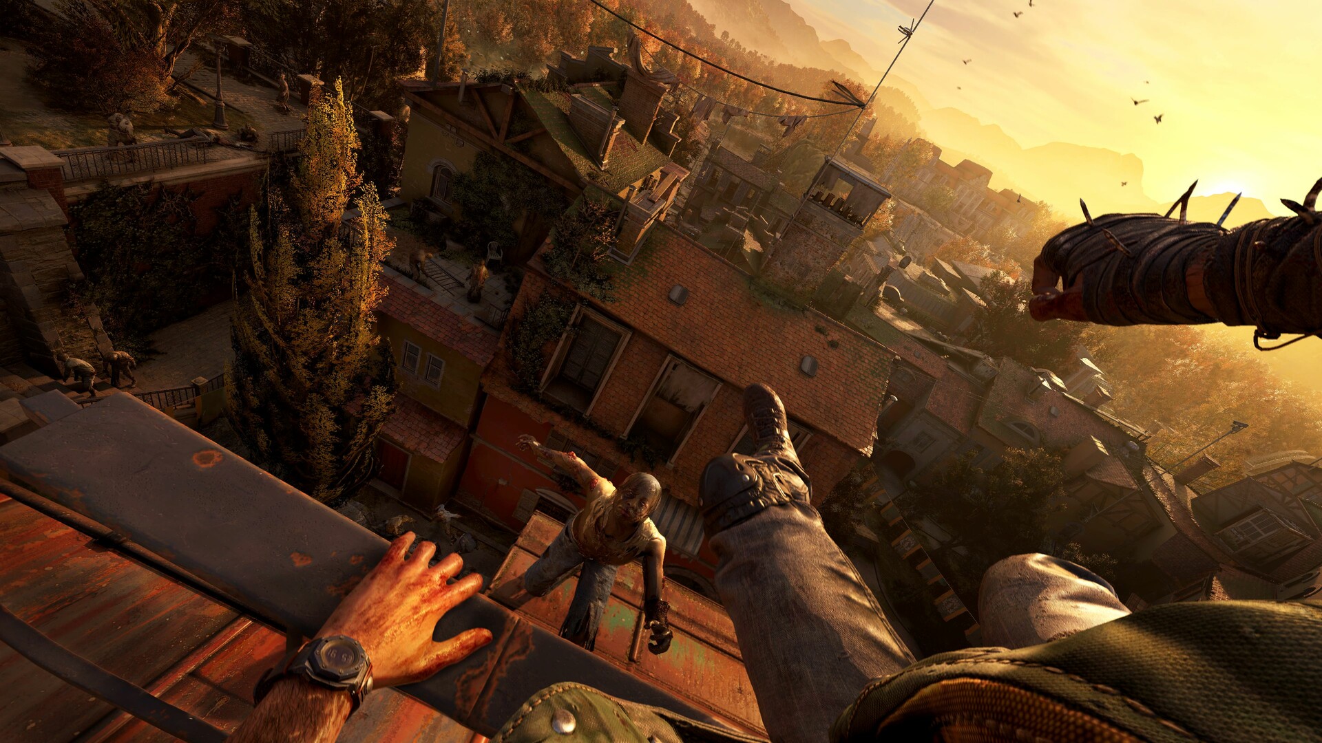 消逝的光芒：困兽/Dying Light: The Beast  第1张