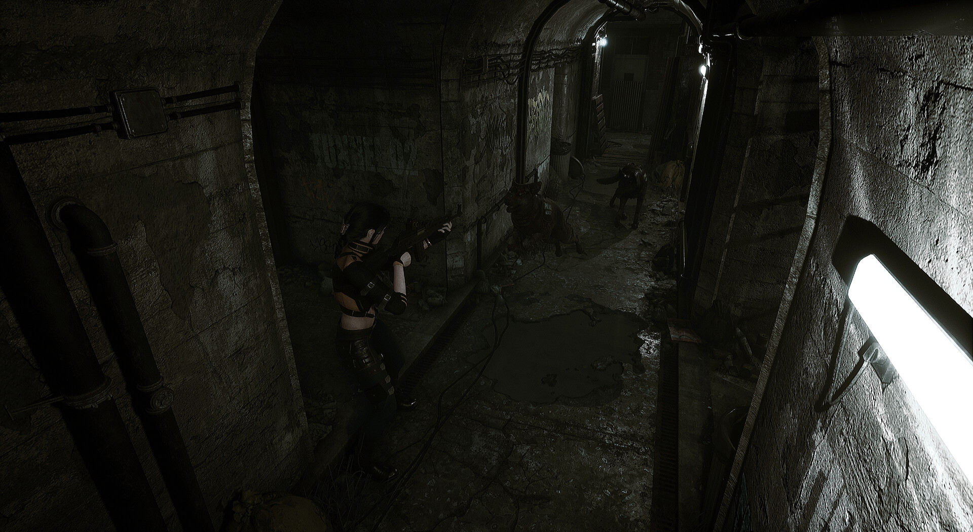 生者回响/Echoes of the Living  第1张