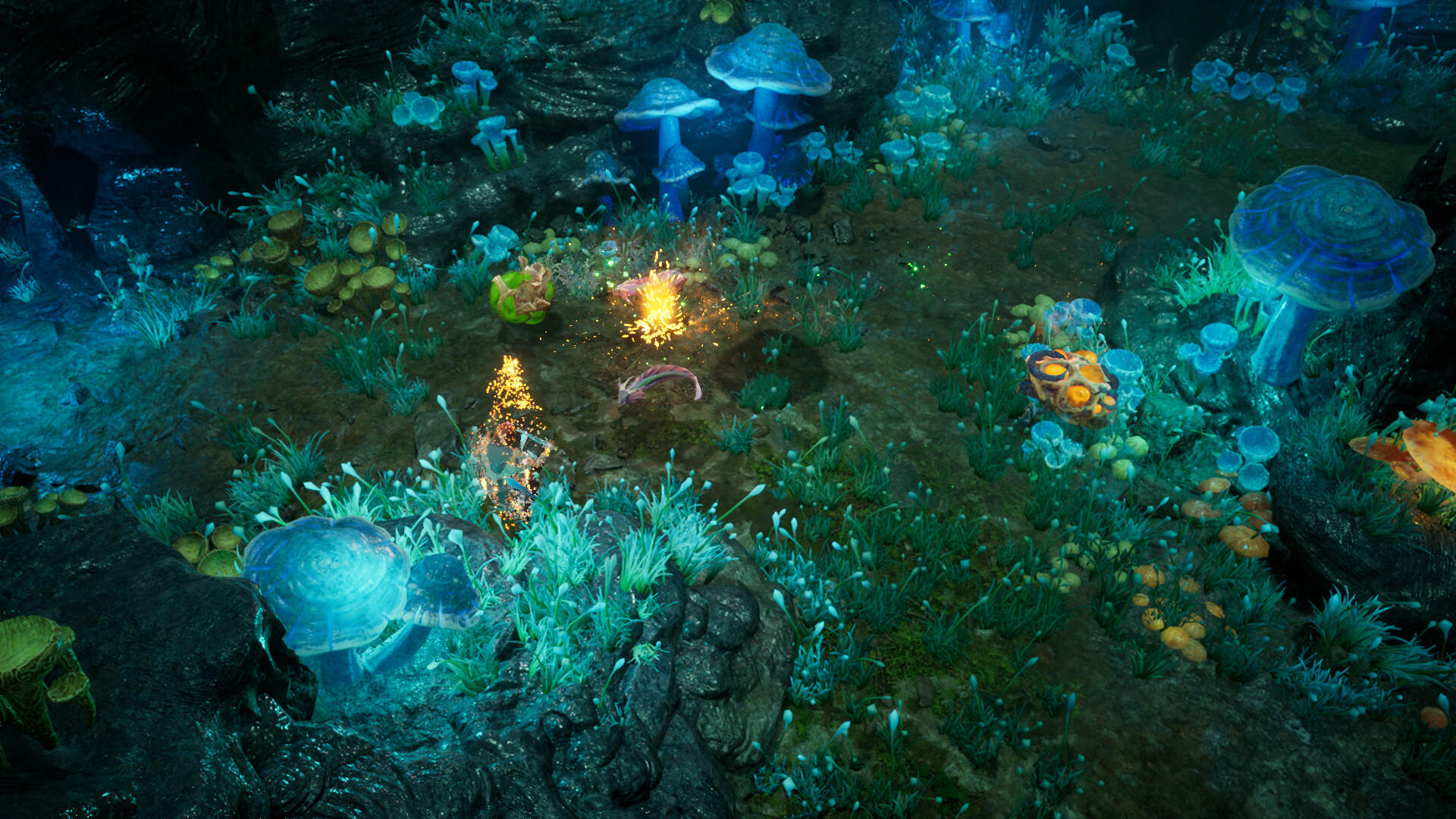 再次崛起/Rise Again  第3张