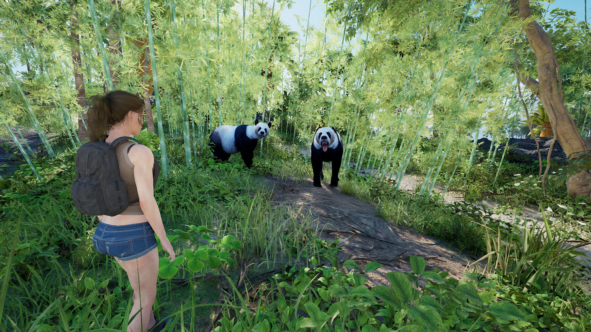 伊甸岛/Eden Island  第2张