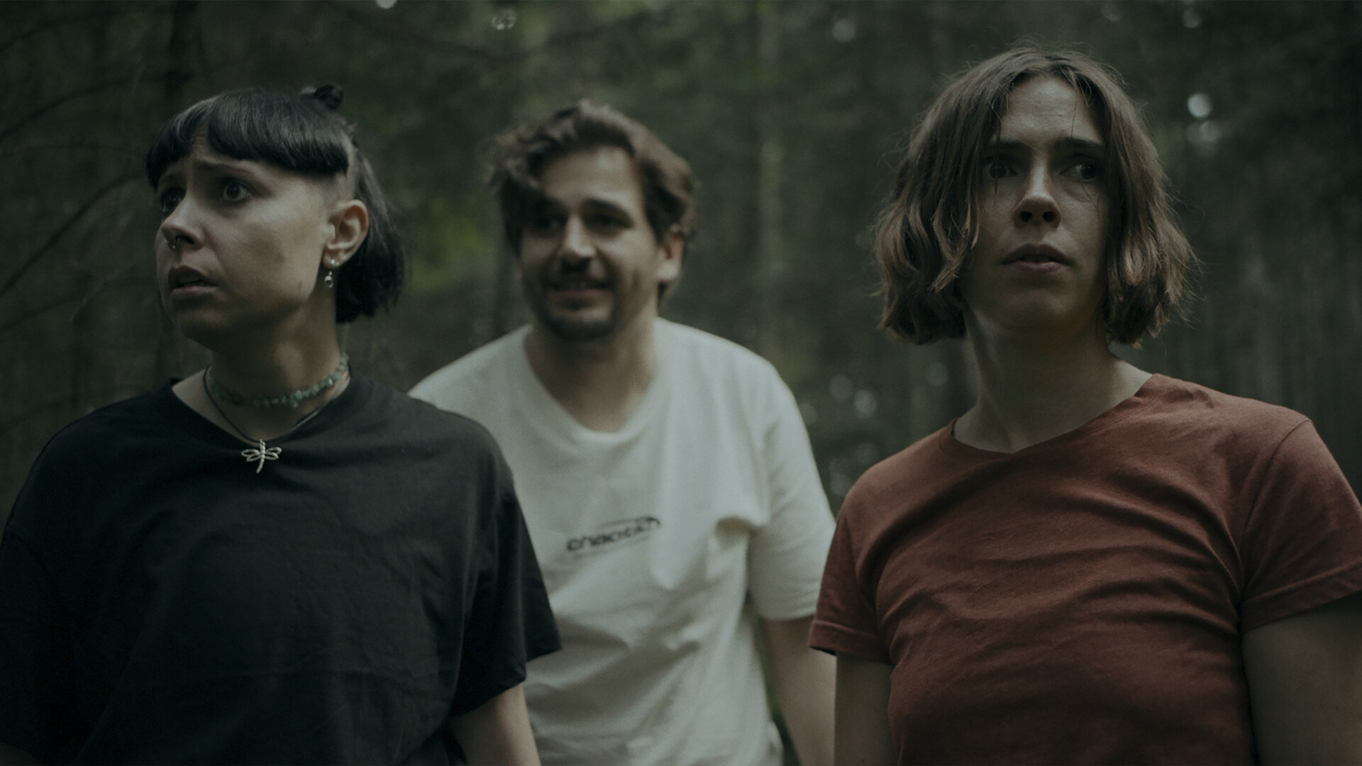 幽林深处/Heart of the Forest 第3张 幽林深处/Heart of the Forest 第3张