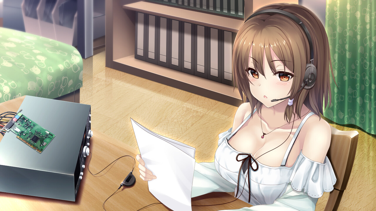 未来广播与人工鸽/The Future Radio and the Artificial Pigeons  第3张